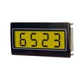 Contor de impulsuri LCD, 4 digiti, cu iluminare, HED251-T, TRUMETER