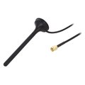 Antena 900MHz, 2.4GHz, 3G, 4G, LTE, 2m, SMA tata, 3.5dB, GSM-ANT-CP01, SR PASSIVES