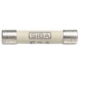 Siguranta 10A, ceramica, intarziere, 5x20mm, 250VAC, 70-007-65/10A, SIBA