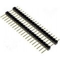 Şir pini; tata; PIN: 20; cu 2 nivele; drept; 2,54mm, ZL2019-20G