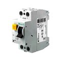 Intrerupător de circuit, diferential, 100mA, 25A IP40, CFI6-25/2/01